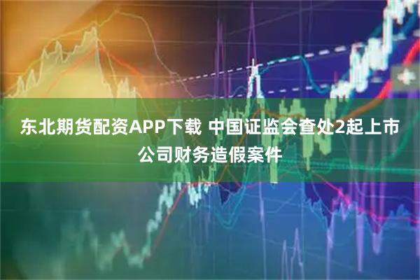 东北期货配资APP下载 中国证监会查处2起上市公司财务造假案件